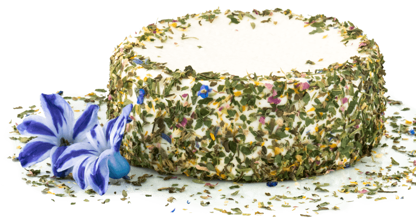 Käse mit Kräutern und Blumen